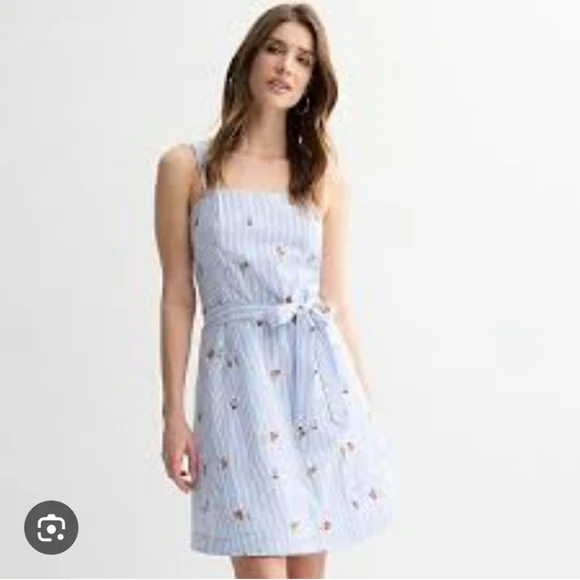 Draper James Blue and White Striped Dress with Red Floral Embroidery - Picture 3 of 6